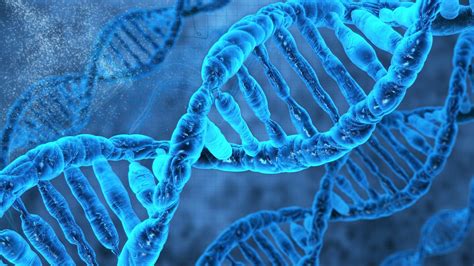 Genetics Wallpapers - Top Free Genetics Backgrounds - WallpaperAccess