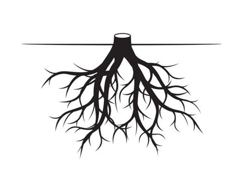 Black Tree Roots. Vector Illustration. Stock Vector by ©rolandtopor ...