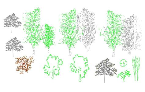 Autocad tree blocks free download - garryom