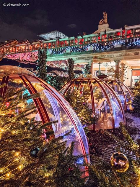 christmas trees are lit up in the center of an indoor garden with domed glass domes