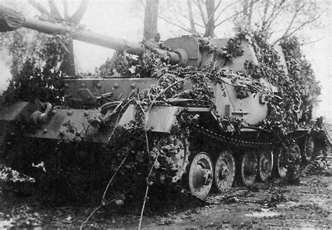 Ferdinand Elefant heavy tank destroyer | World War Photos