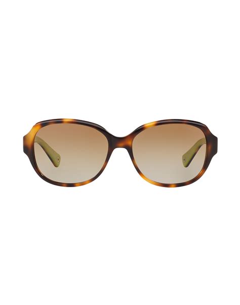 Coach | Brown Sunglasses | Lyst