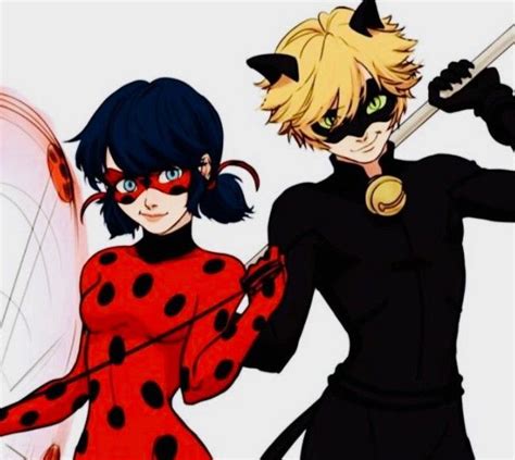 Ladybug and Cat Noir from Miraculous Ladybug and Cat Noir Catnoir And Ladybug, Ladybug Und Cat ...