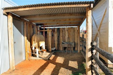 an elephant is standing in its pen at the zoo