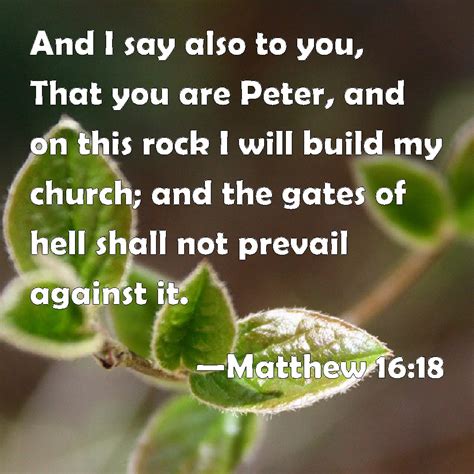 Matthew 16:18 And I say also to you, That you are Peter, and on this rock I will build my church ...