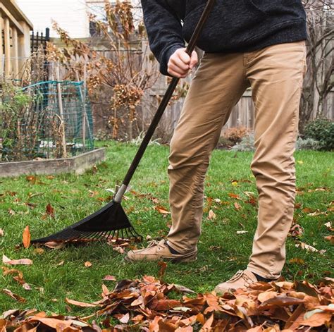 5 Best Leaf Rakes for 2022 - Top-Rated Leaf Rake Reviews