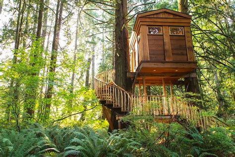 Remote tree house, Washington, USA. | Cool tree houses, Tree house ...