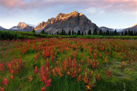 Montana Mountains Wallpaper - WallpaperSafari