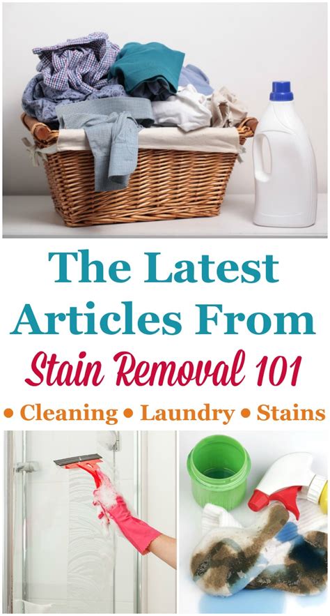 Stain Removal Blog: The Latest Tips & Guides For House Cleaning ...