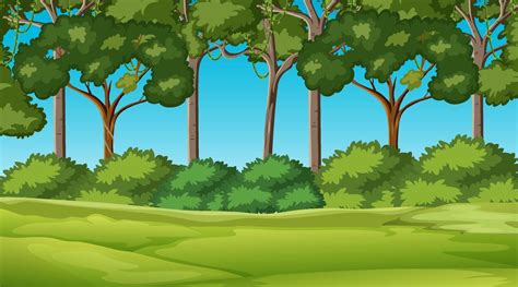 Blank nature park landscape at daytime scene with many tree background 3022629 Vector Art at ...