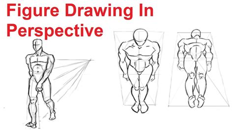 Figure Drawing Lesson 4/8 - How To Draw The Human Figur... | Doovi