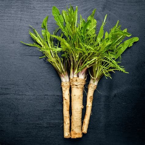 How To Grow And Harvest Horseradish In Pots - Homegrown Herb Garden