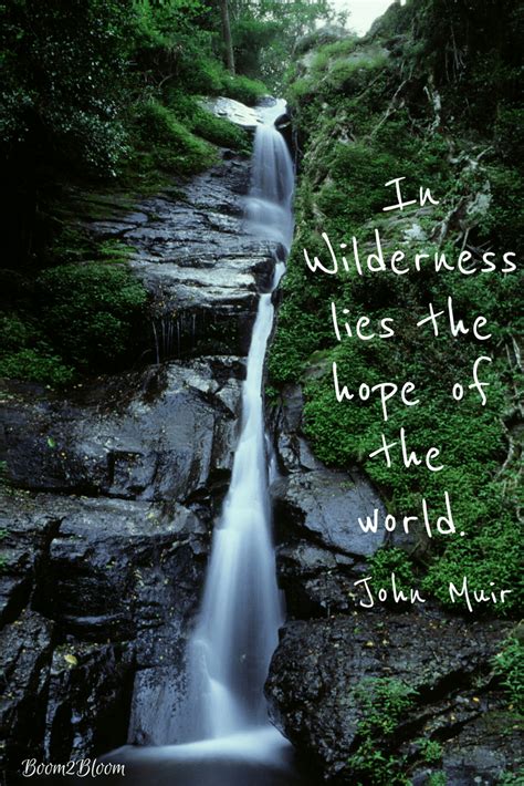 John Muir Wilderness Quote & Art Print ~ Boom2Bloom.com | Wilderness quotes, John muir, Art ...