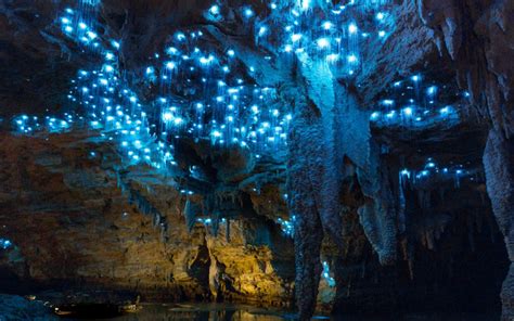 Waitomo Glowworm Cave Tours New Zealand | CaveWorld