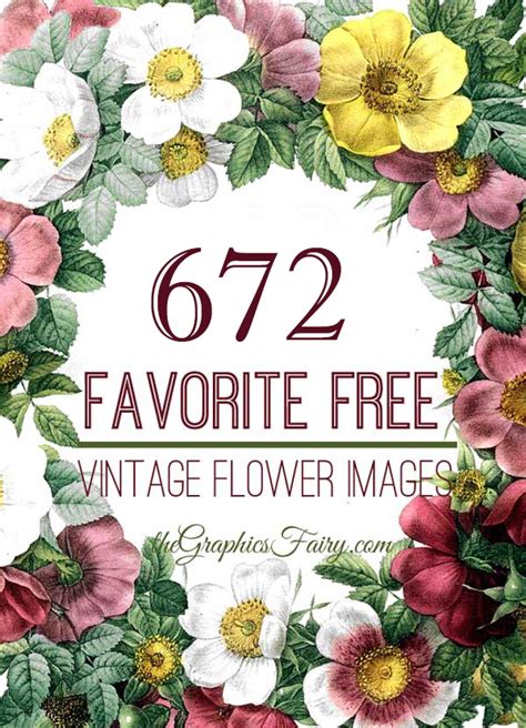 672 Vintage Flower Images! - The Graphics Fairy