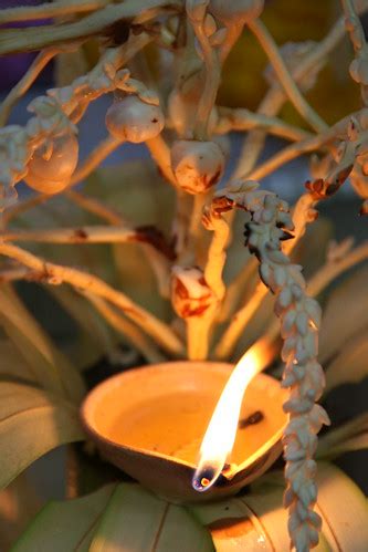 oil lamp | At the 60th anniversary of the Bodhi tree at Sri … | Flickr