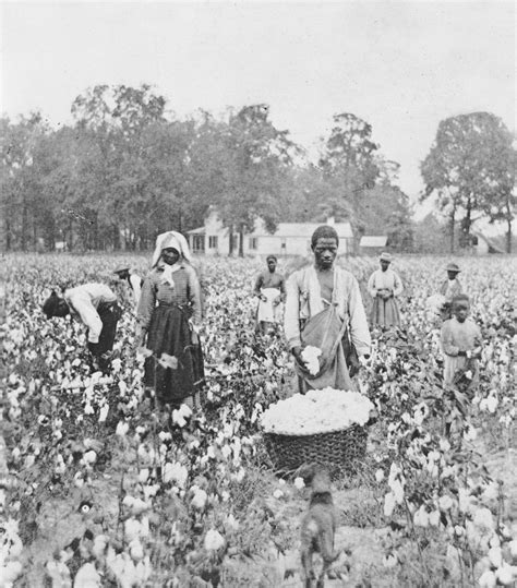 why did african americans prefer sharecropping to wage labor - tivoli ...