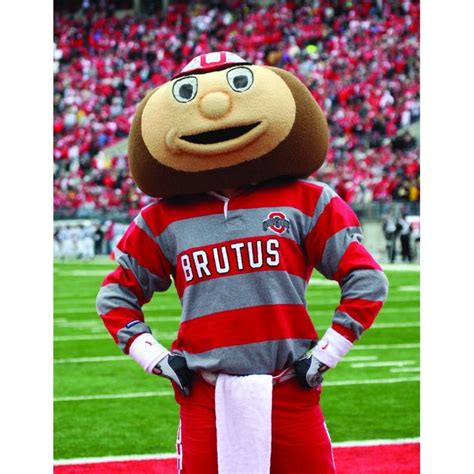 College University Brutus Buckeye Mascot Costume | Brutus buckeye, Ohio state brutus, Ohio state ...