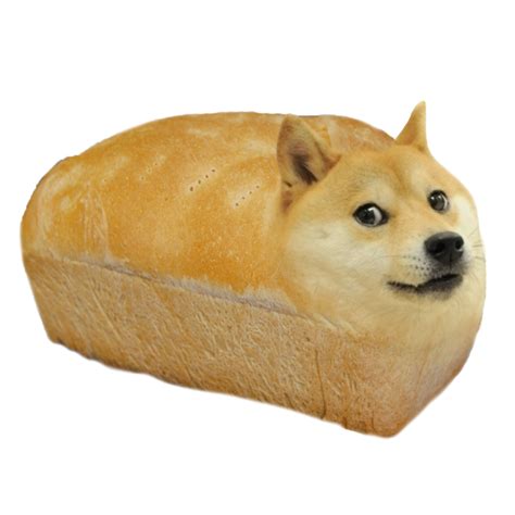 Doge meme, Doge dog, Shiba inu doge