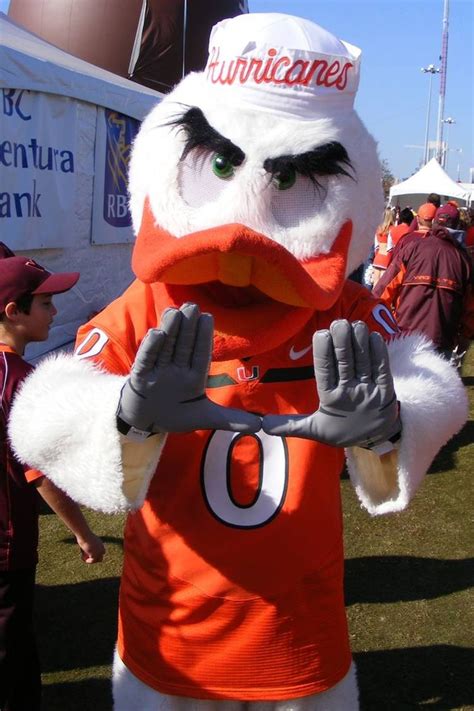 Miami Hurricanies - Sebastion the Ibis Mascot | Miami hurricanes mascot ...