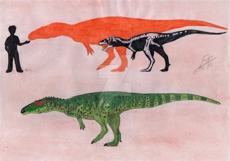 Eustreptospondylus test by Hoatziraptor on DeviantArt