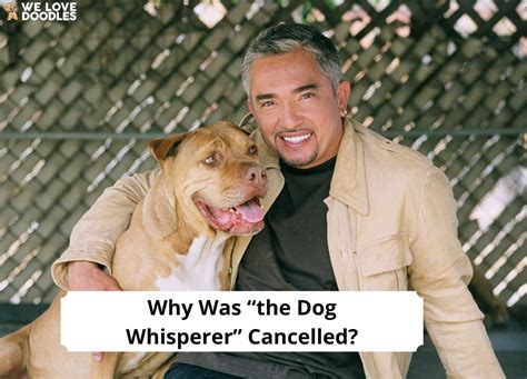 Why Was the Dog Whisperer Cancelled? (2024) - We Love Doodles