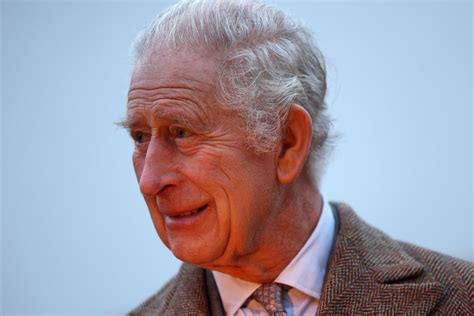 King Charles learned of Queen's death after picking mushrooms, book reveals