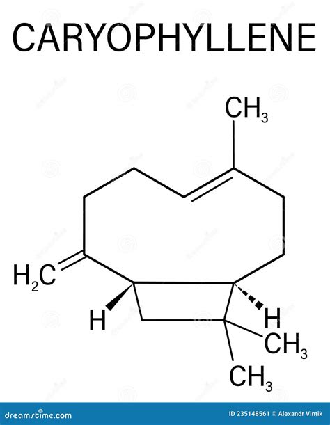 Caryophyllene Molecule. Constituent of Multiple Herbal Essential Oils ...