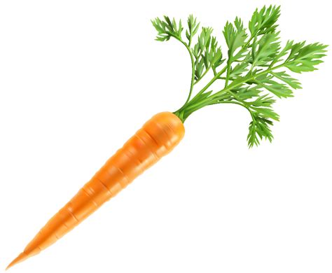 Download High Quality carrot clipart high resolution Transparent PNG Images - Art Prim clip arts ...