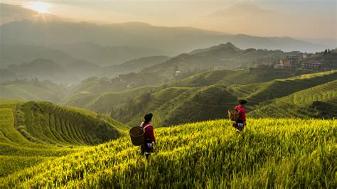 Three-North Shelter Forest Program in China - thediplomaticaffairs.com