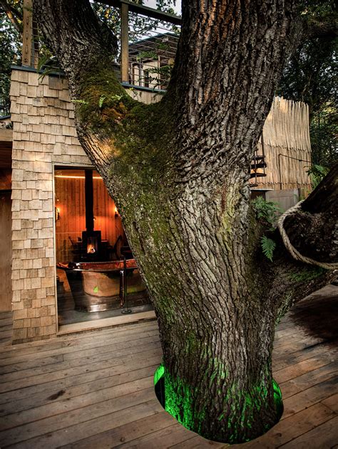 A Luxury Tree House Nestled In Nature – Adorable HomeAdorable Home