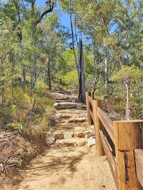 Glass House Mountains lookout track | Beerburrum and Beerwah State Forests | Parks and forests ...