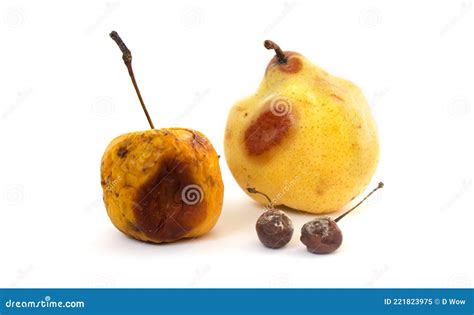 Rotten Fruit with Mold on White Background Stock Image - Image of ...