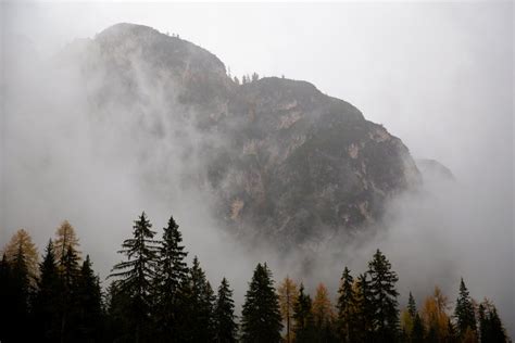 Photo Of Pine Trees Near Rocky Mountain · Free Stock Photo