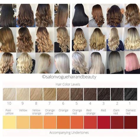 Level 8 Brown Hair: Achieve Stunning Color with These Expert Tips ...