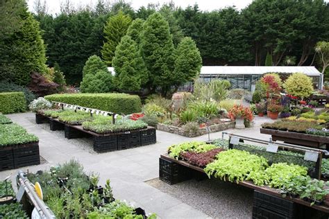 Liscahane Nursery and Garden Centre, Ardfert, Kerry | Activeme.ie