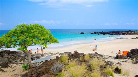 Tips To Enjoy 5 Best Sandy Beaches in Kailua-Kona, Hawaii You Shouldn’t ...