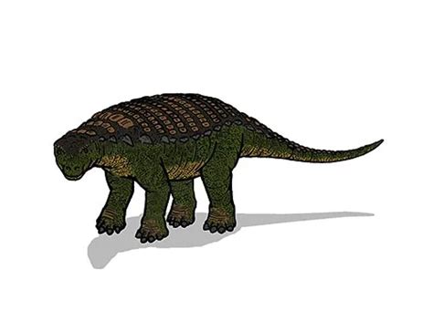 Nodosaurus | Description, Size, Fossil, Diet, & Facts