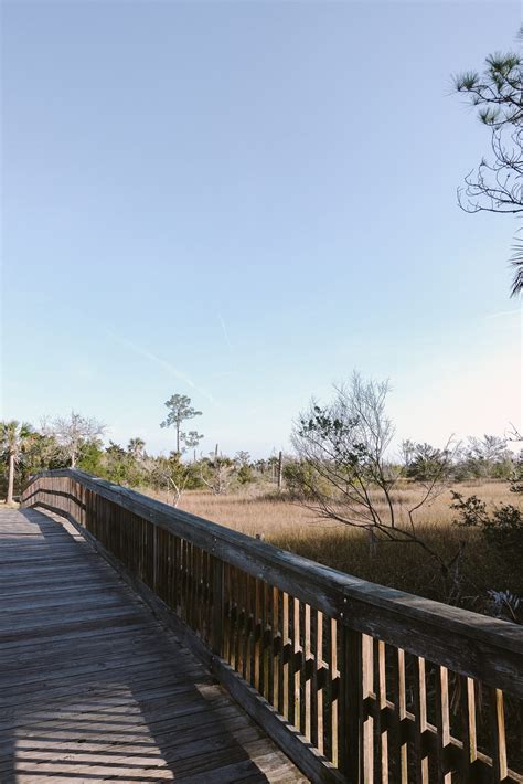 Six Jacksonville Hiking Trails to visit for a city escape