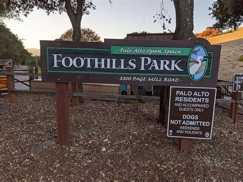 After more than 51 years, Palo Alto’s Foothills Park is finally open