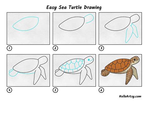 Easy Sea Turtle Drawing - HelloArtsy