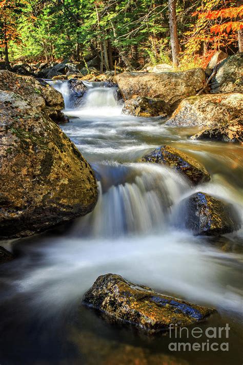 Mountain Stream Waterfall Photograph by Edward Fielding - Fine Art America