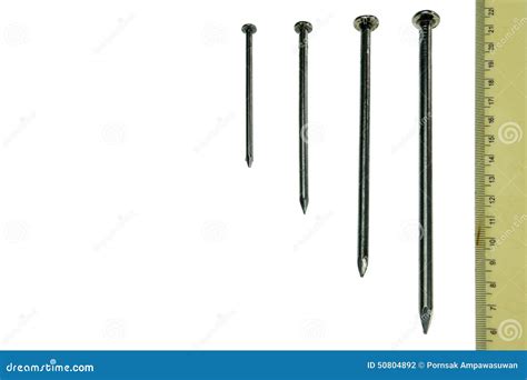 Nails many sizes stock photo. Image of hardware, mechanic - 50804892