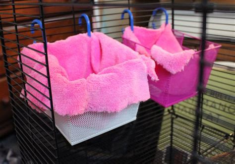 Durable Rat Beds- in 4 Easy Steps! | Rat cage, Pet rats, Pet mice