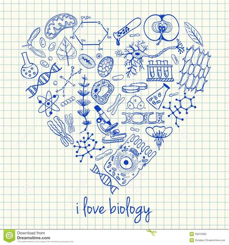 Biology clipart cell culture, Biology cell culture Transparent FREE for download on ...