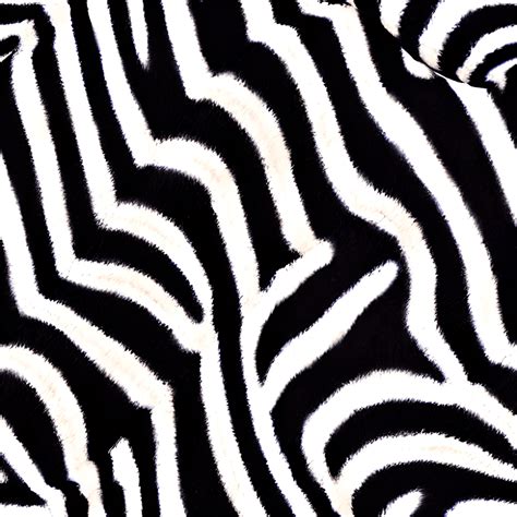 Zebra Print Digital Graphic · Creative Fabrica