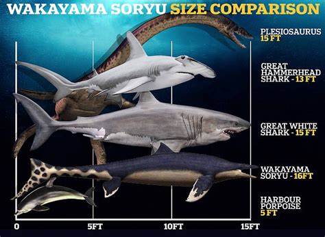 ¿Godzilla De La Vida Real? El 'dragón Azul' Gigante Japonés Aterrorizó ...