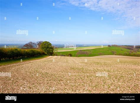 Chalk soil hi-res stock photography and images - Alamy