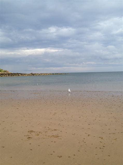 Runswick Bay Beach located in North Yorkshire is a fantastic day out