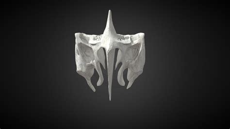 Ethmoid bone / Hueso Etmoides - Buy Royalty Free 3D model by Ualde (@sebaualde) [c189737 ...